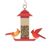 For Birds